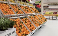 Arredo Negozio Frutta e Verdura