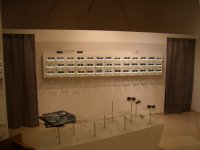 Realizzazione Arredo Ottica